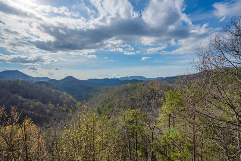 Smoky Mountain Skys
