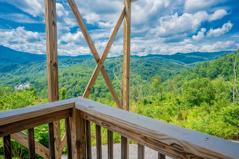 Mountain Top LeConte
