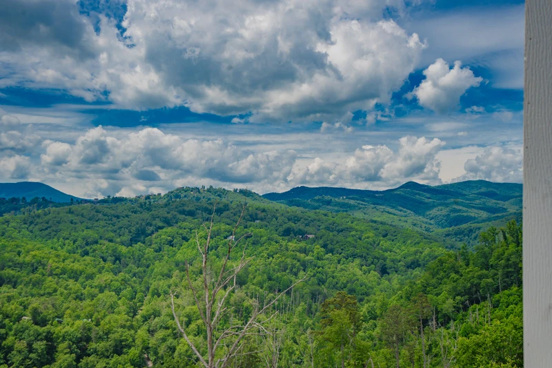 Mountain Top LeConte