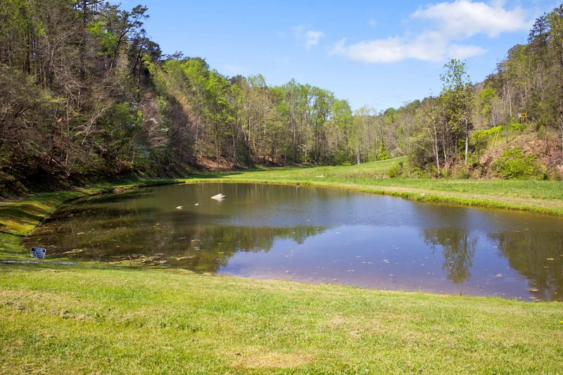 70 Acre Mountain Farmstead
