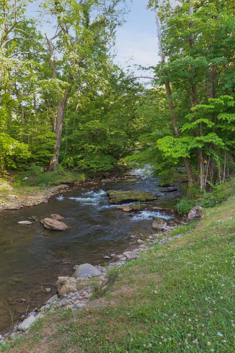 Quaint Cabin on Cosby Creek