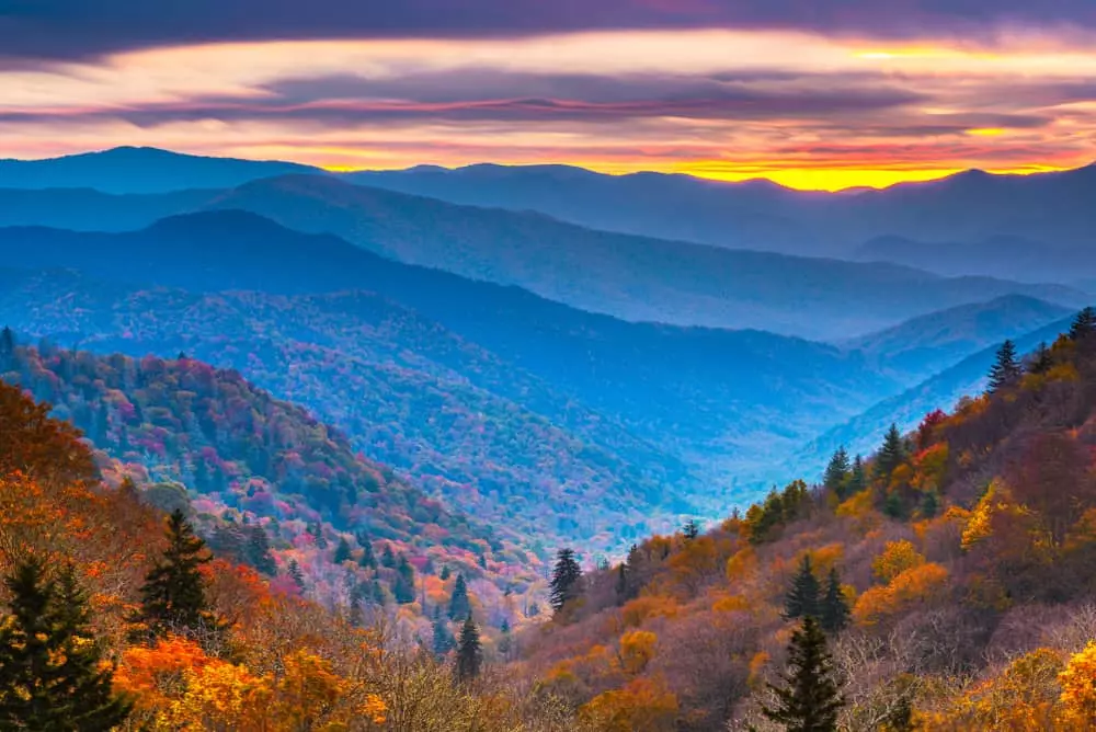 Fall Foliage in the Smoky Mountains: Everything You Need to Know