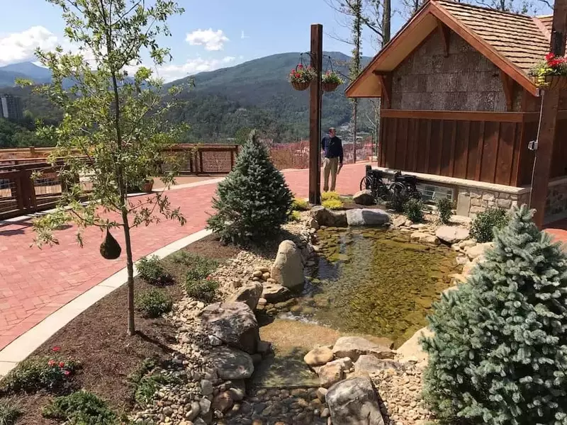 Landscaping with mountains in background (1)