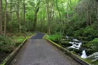 The Roaring Fork Motor Nature Trail near Gatlinburg TN.