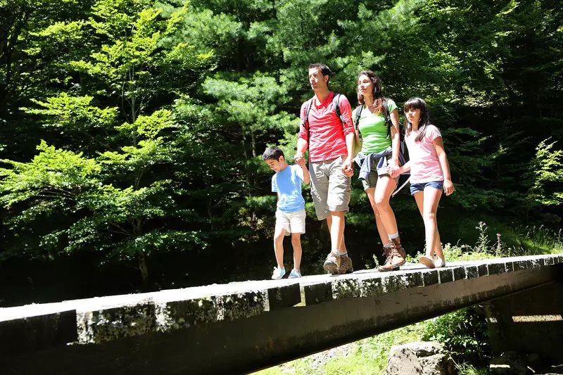 A family hiking in the forest.