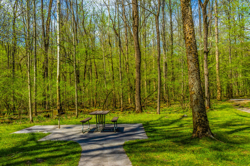 picnic table and grill in Greenbrier