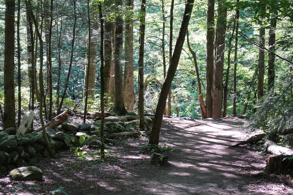 Gatlinburg Trail through the woods