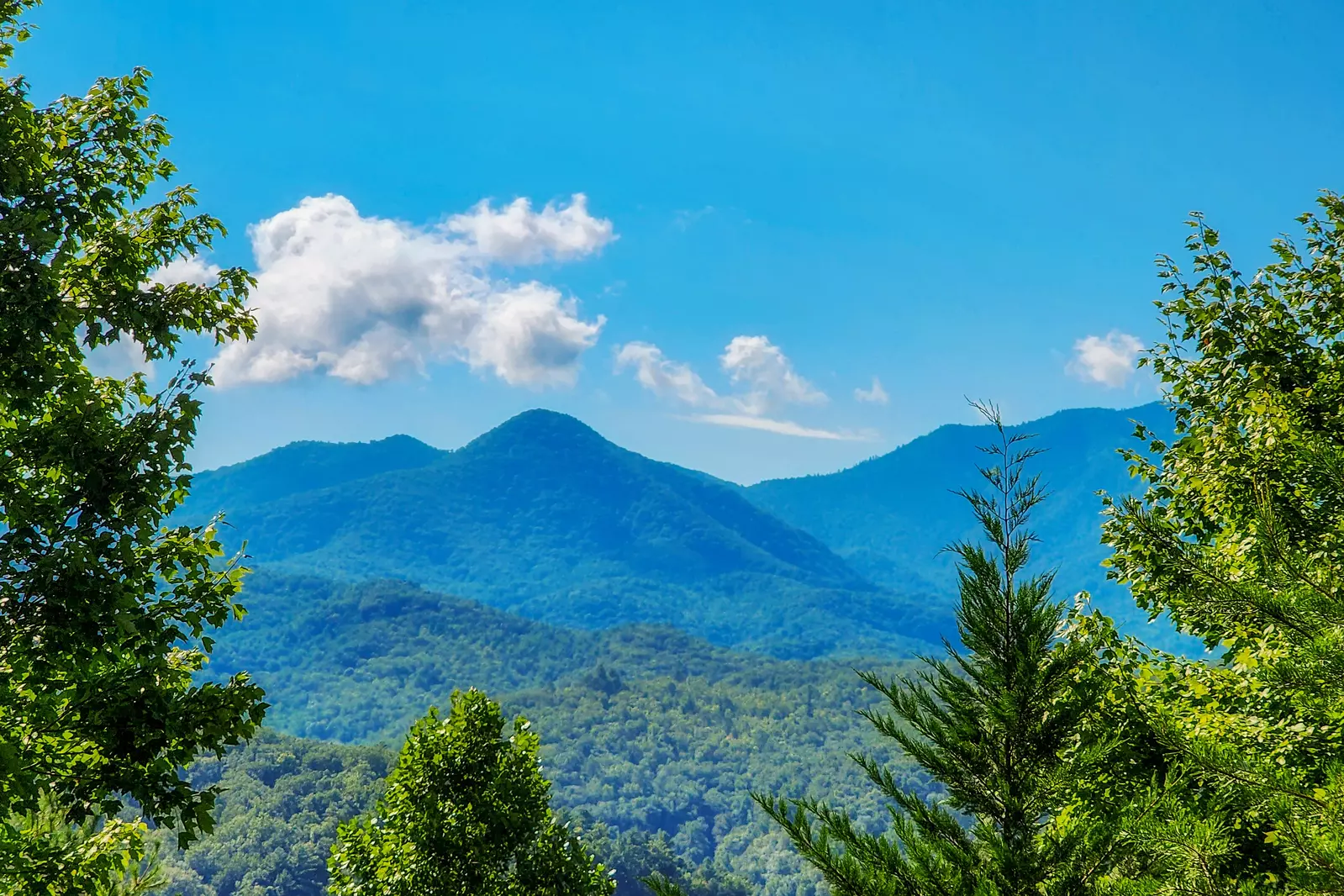 Gatlinburg Mountain Lodge