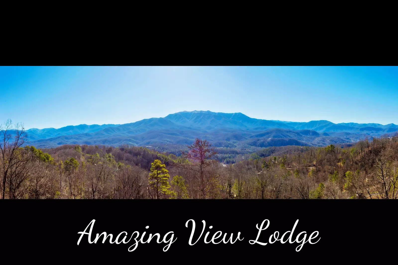 Amazing View Lodge