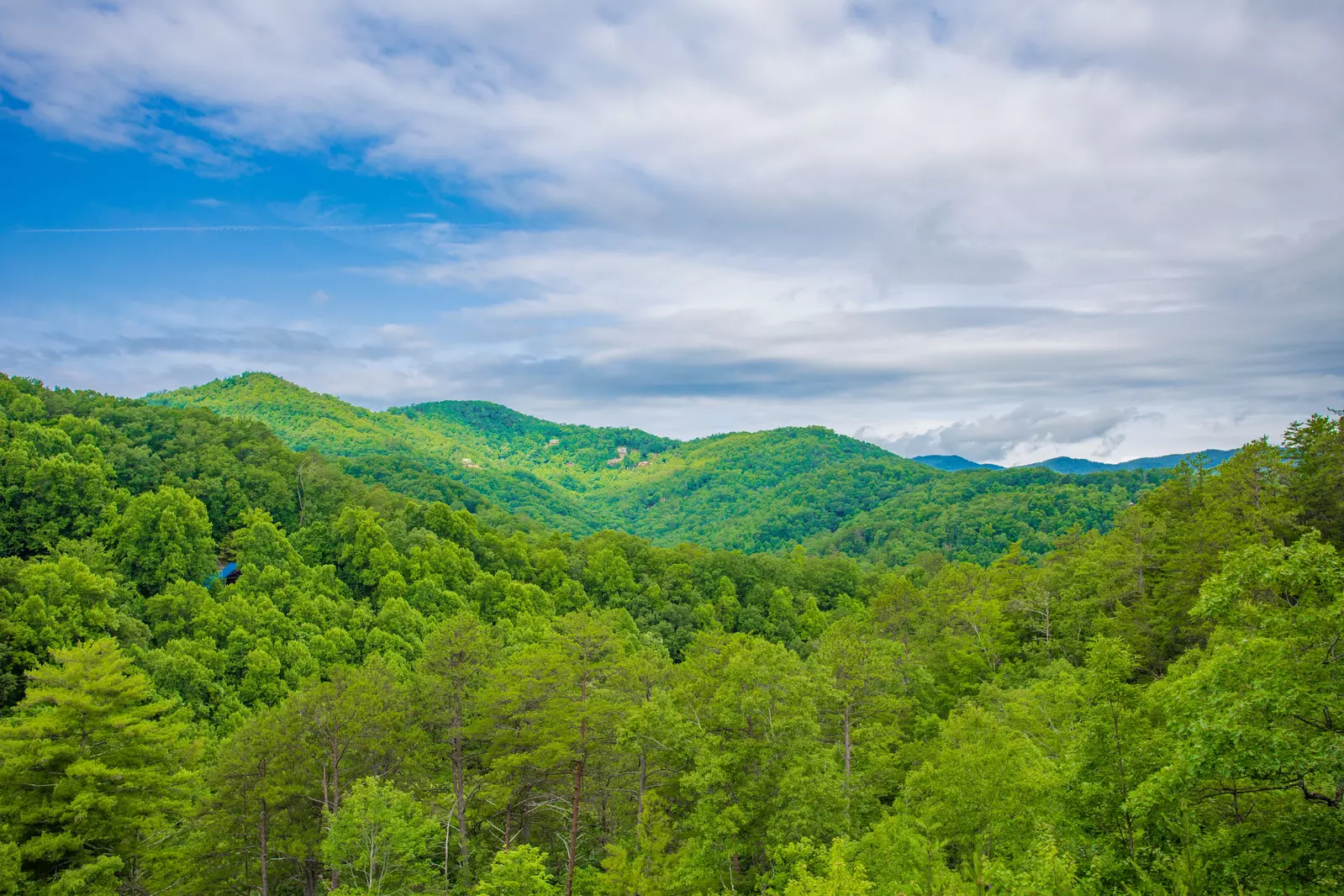 Paradise View In The Smokies