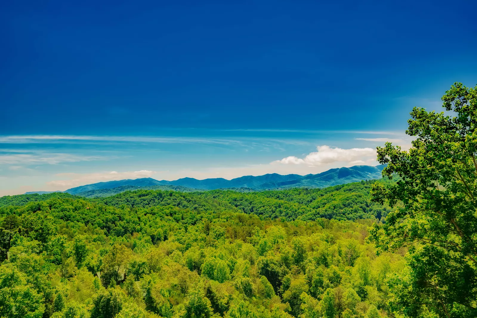 Friendship Mountain Retreat