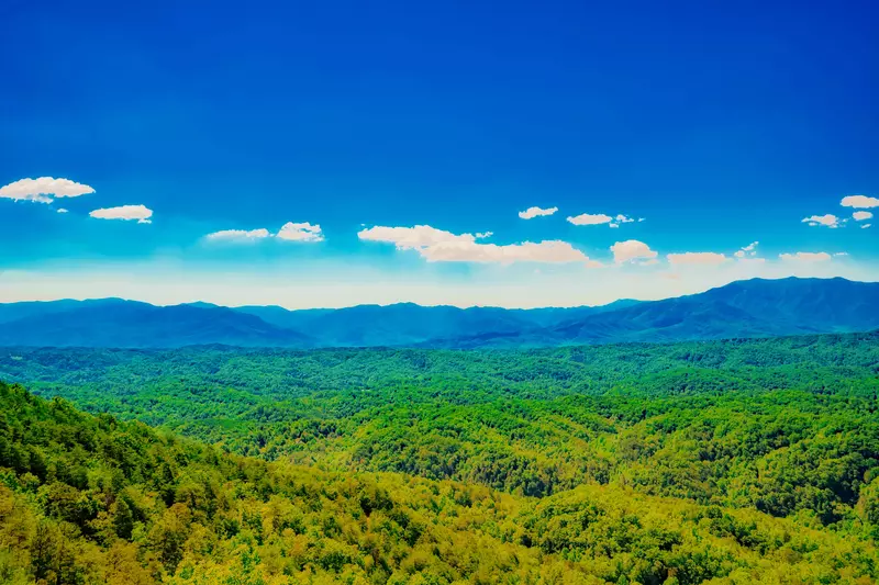 LeConte Overlook