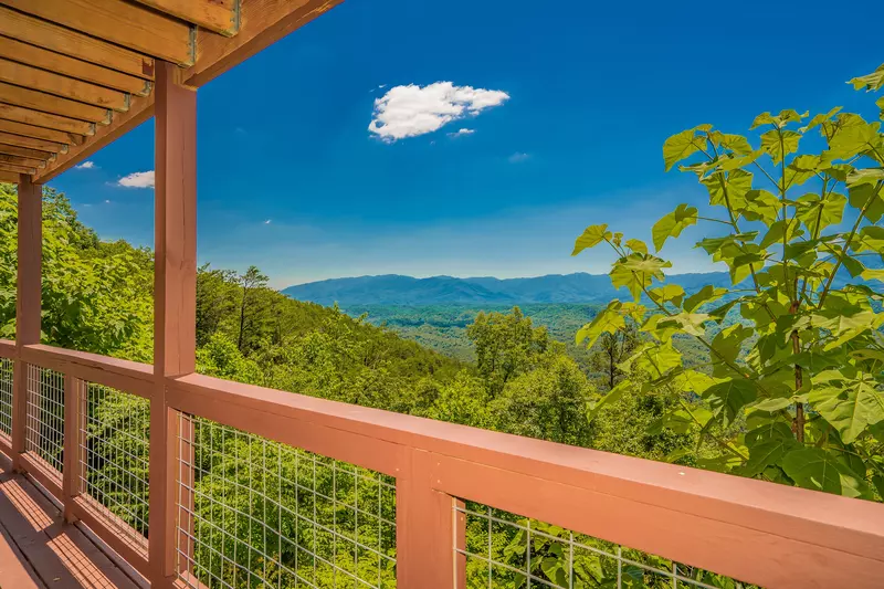 LeConte Overlook