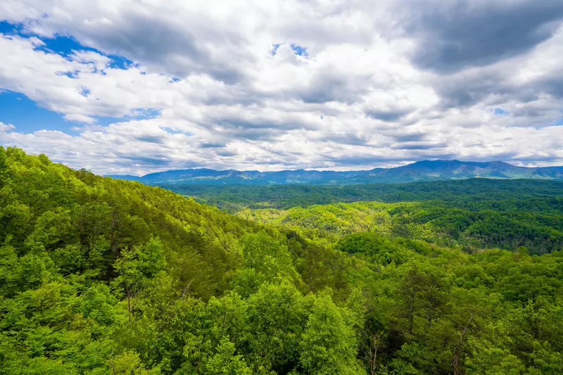 LeConte Overlook