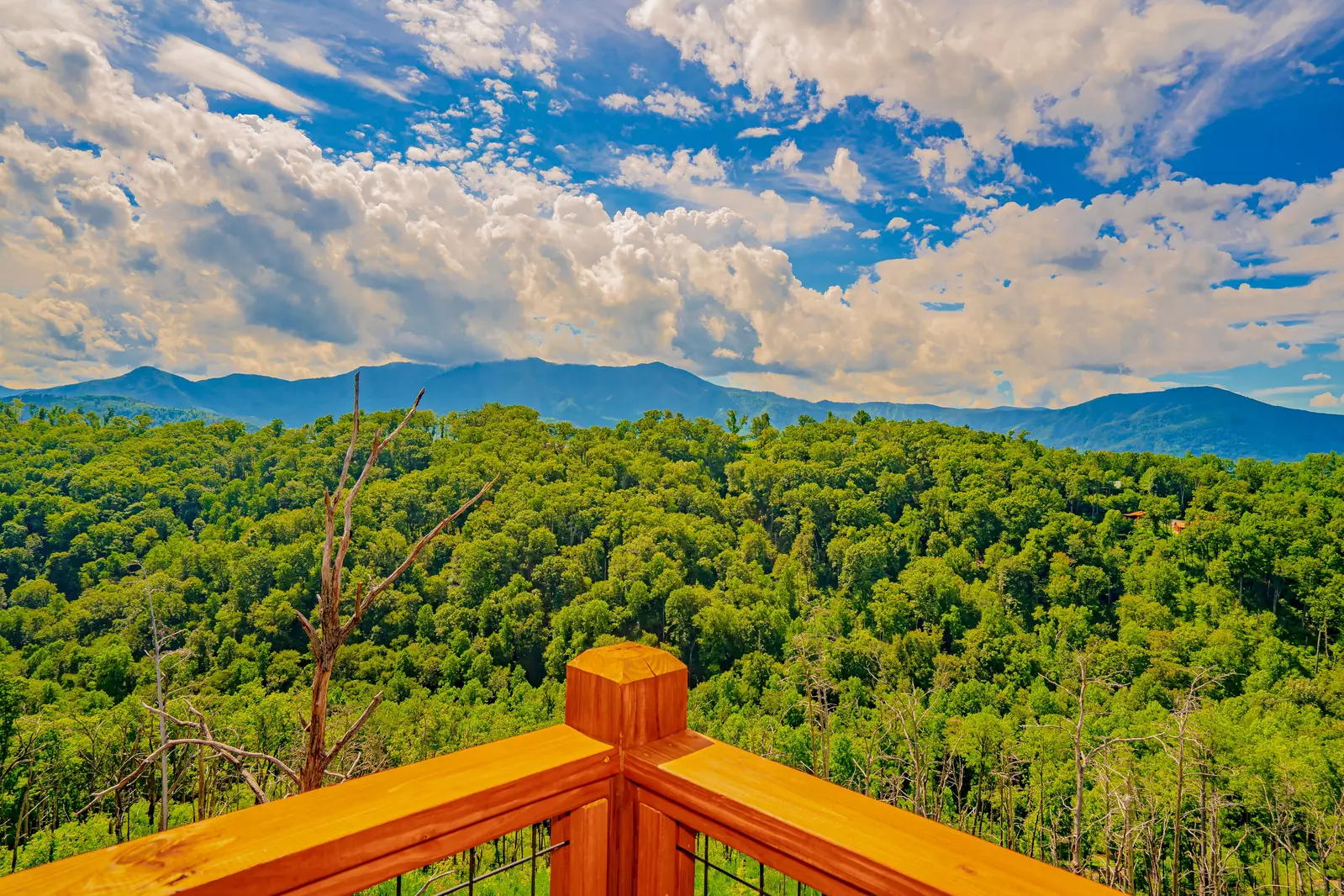 A Gatlinburg Heavenly View