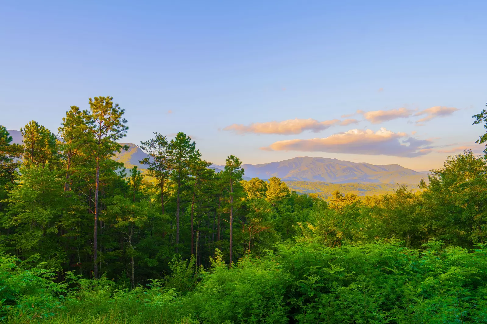 Gatlinburg Mountain Romance