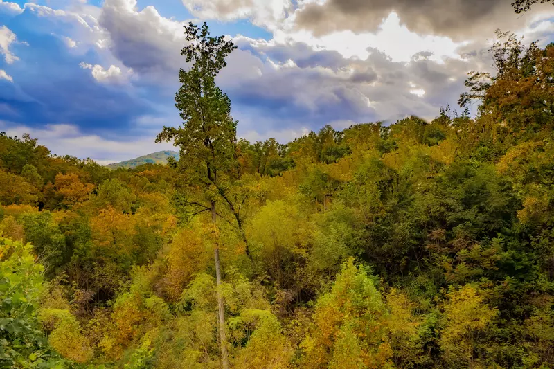 Gatlinburg Starry Night