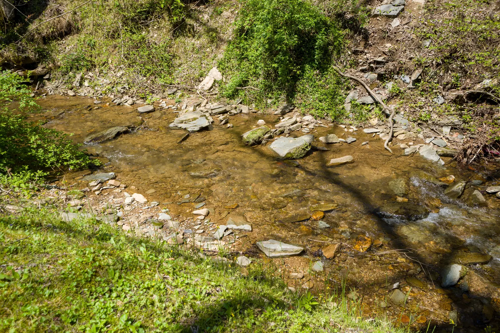 Serenity Creek