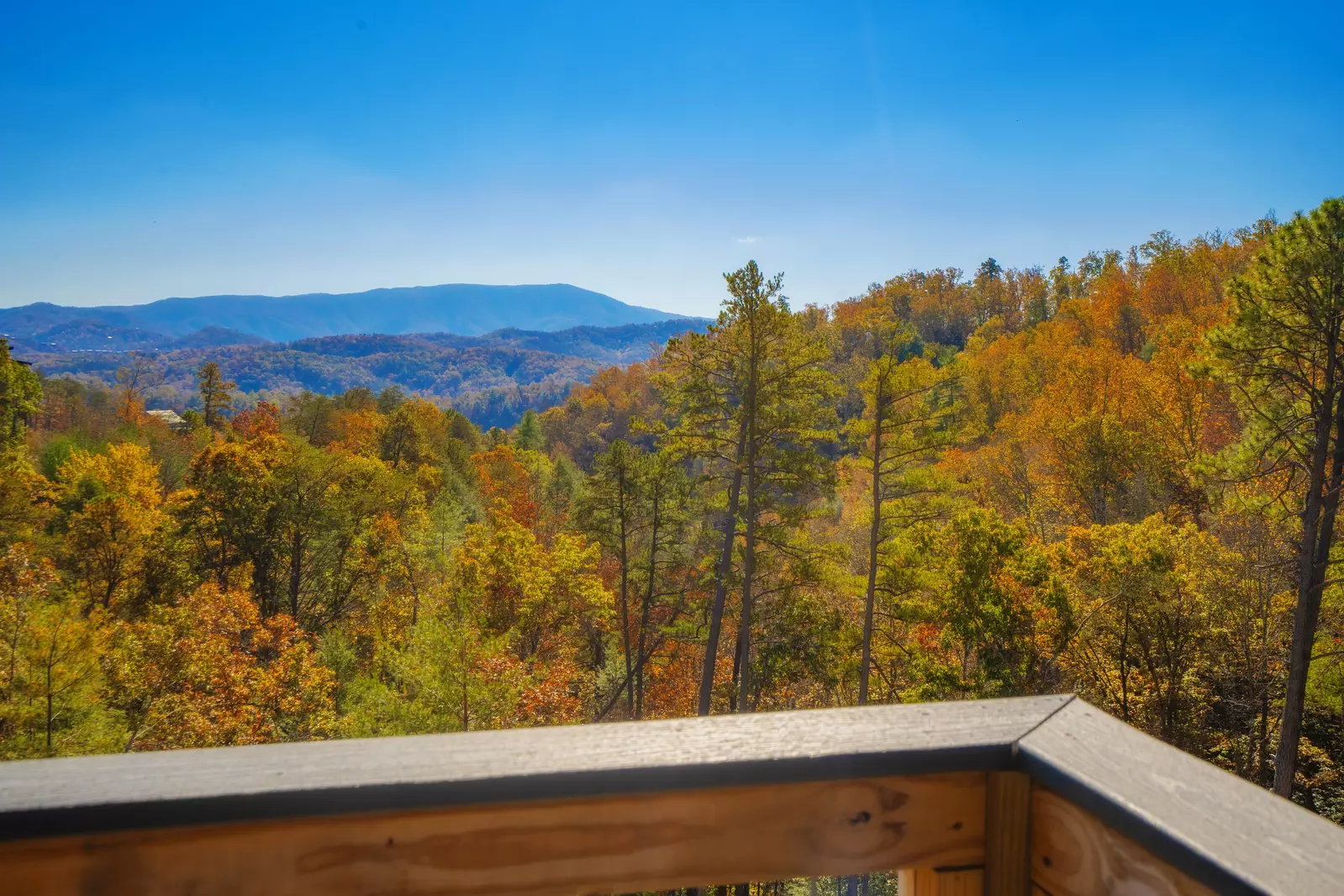 Smokies Overlook