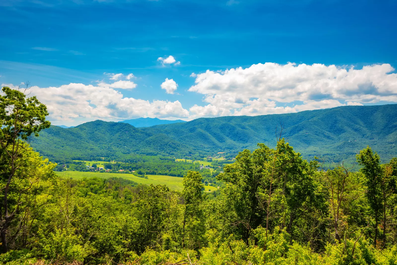 Smoky Mountain Vista