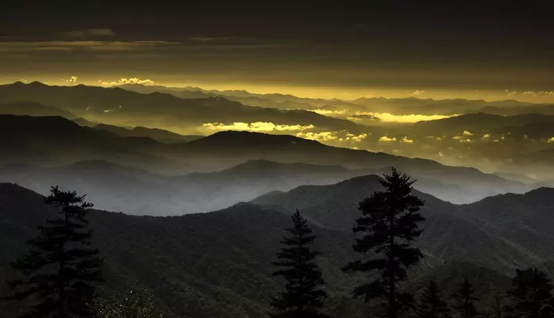 Three Little Bears In The Smokies