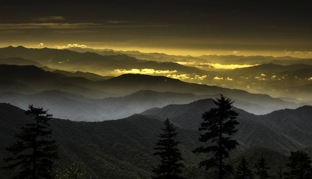 Three Little Bears In The Smokies