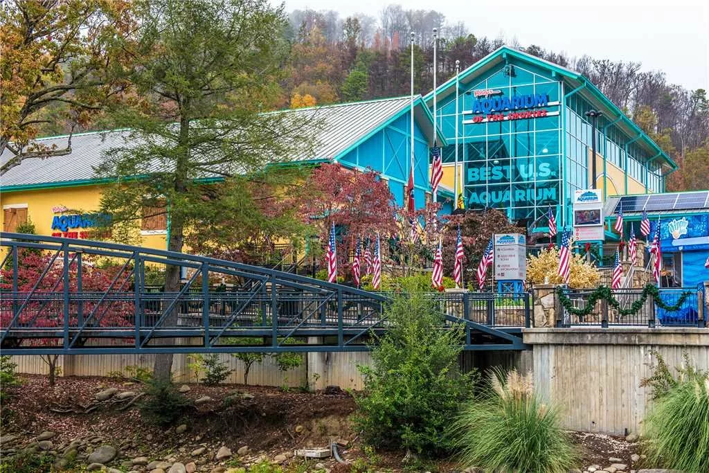 Splash Mountain Lodge