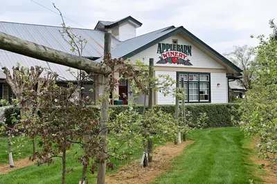 the apple barn winery