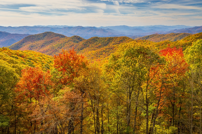 fall foliage in smokies