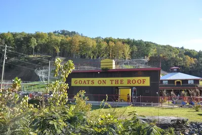 Goats on the Roof