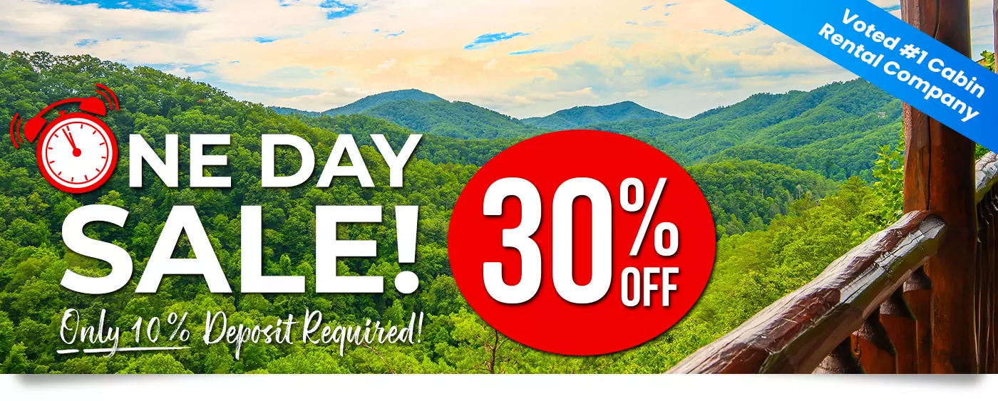 1 Day Sale - 30% Off