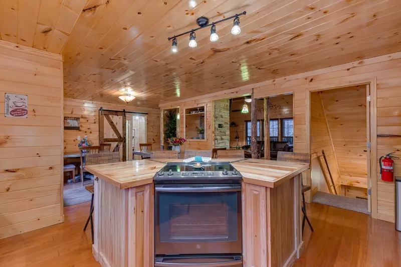 Luxury Mountain Lodge