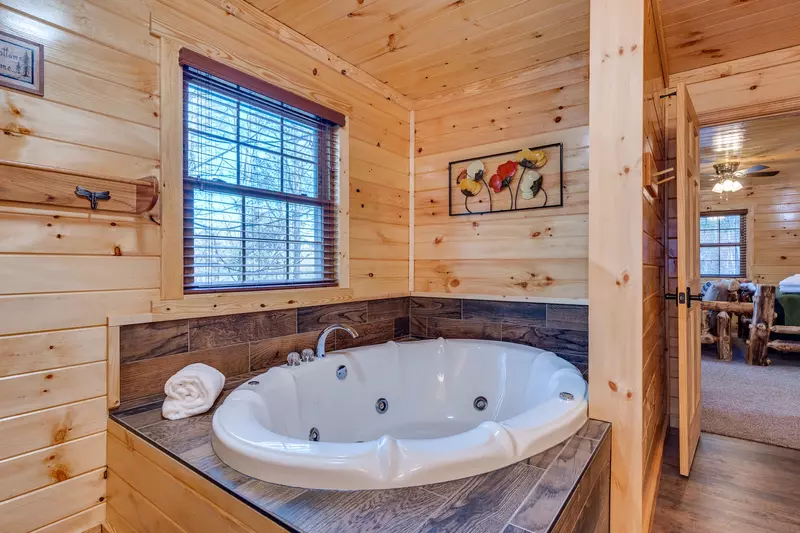 Luxury Mountain Lodge