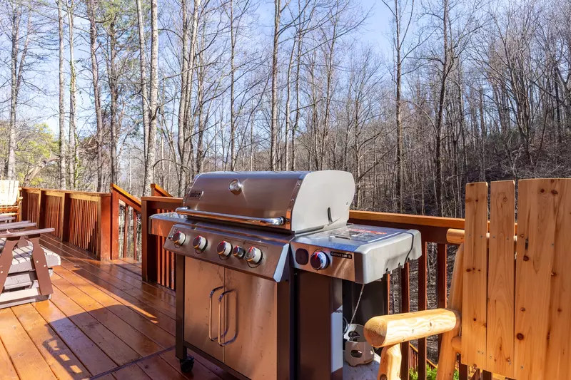 Luxury Mountain Lodge