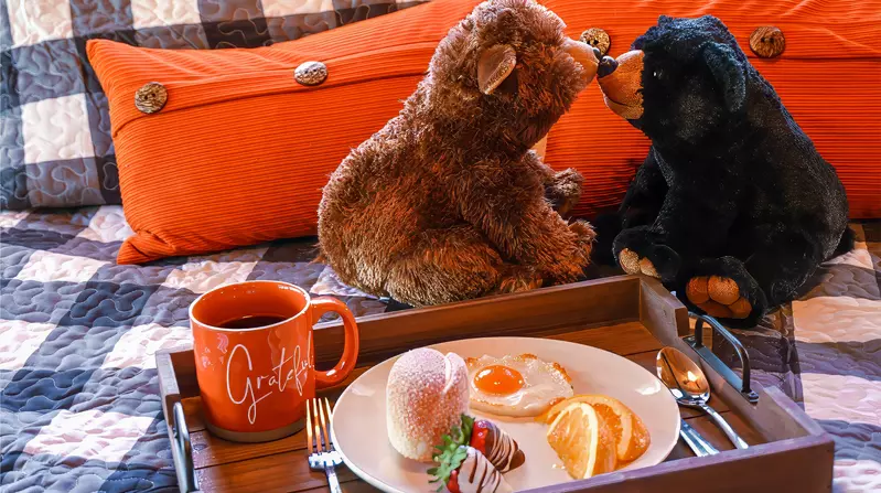 Misty Mountain Retreat