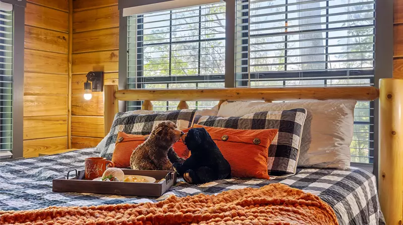 Misty Mountain Retreat