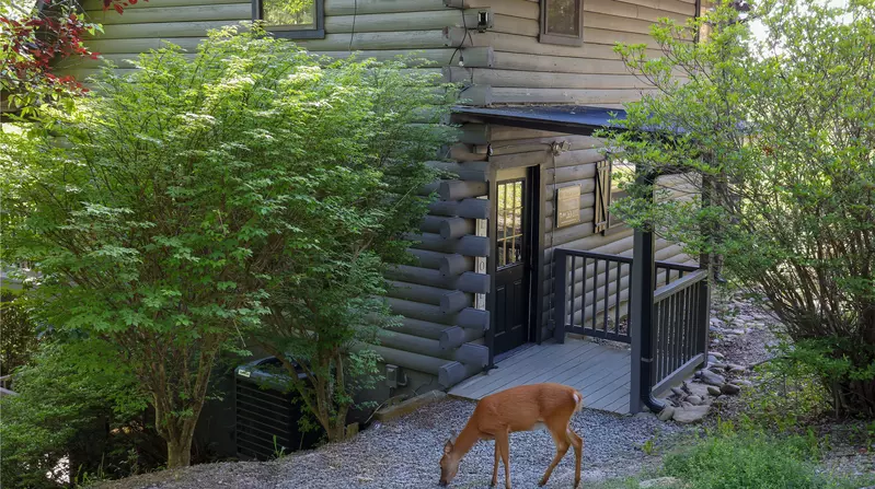 Misty Mountain Retreat