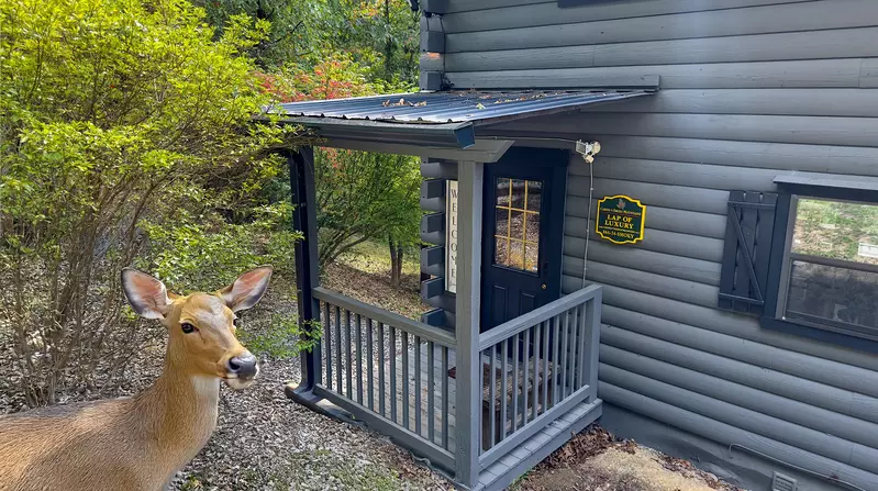 Misty Mountain Retreat