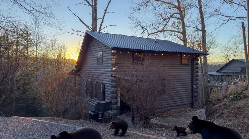 Misty Mountain Retreat