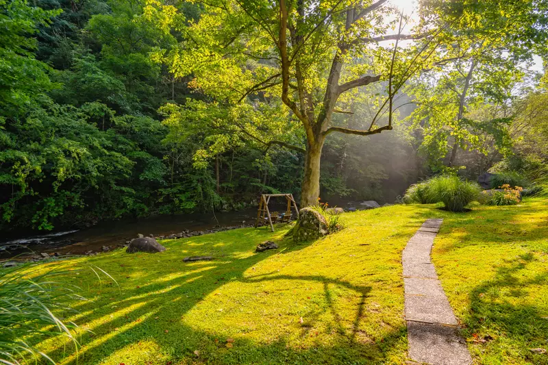 Bear Lodge at Bent Creek