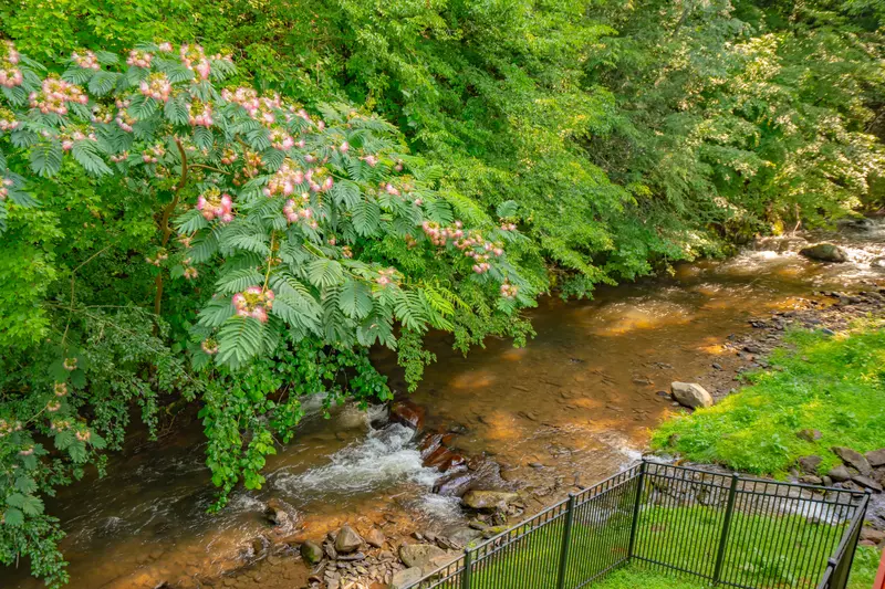 Bear Lodge at Bent Creek