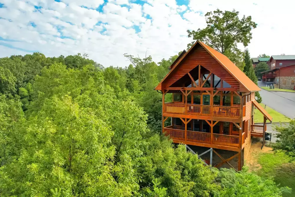 Midnight Wonder cabin