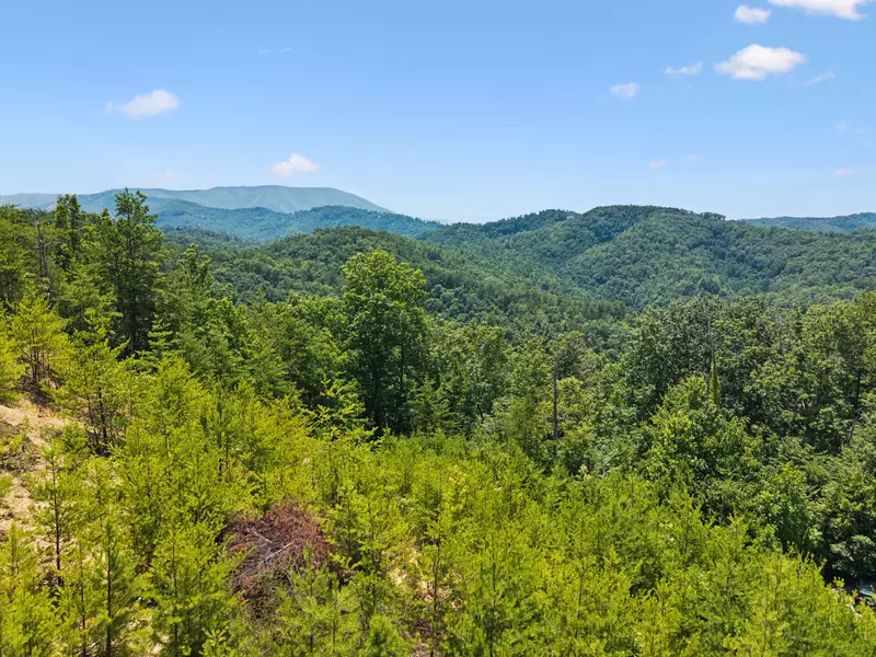 Amazing Adventure Lodge