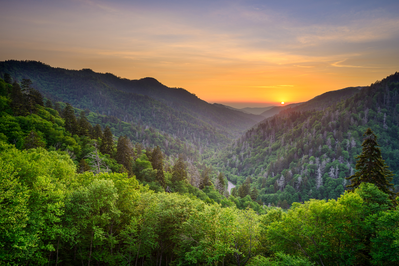 newfound gap road is one of the best places in the great smoky mountains