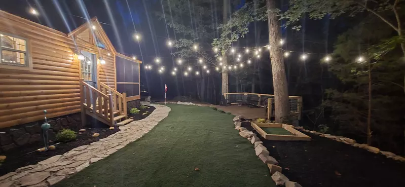 Birds Perch Hummingbird