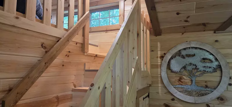 Birds Perch Hummingbird