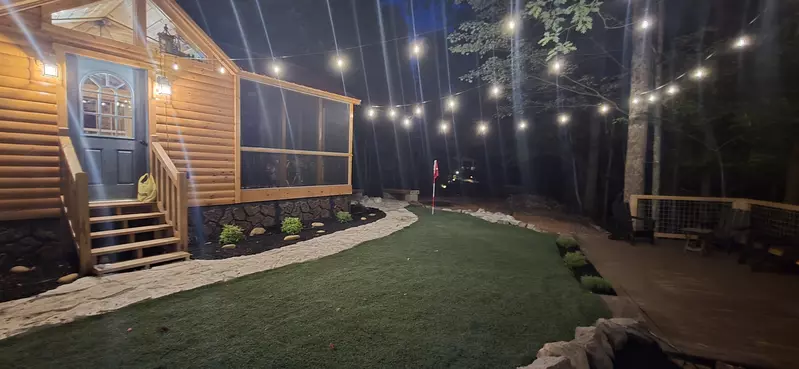 Birds Perch Hummingbird