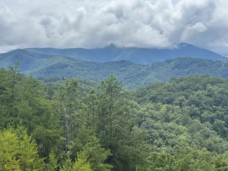 Amazing Adventure Lodge