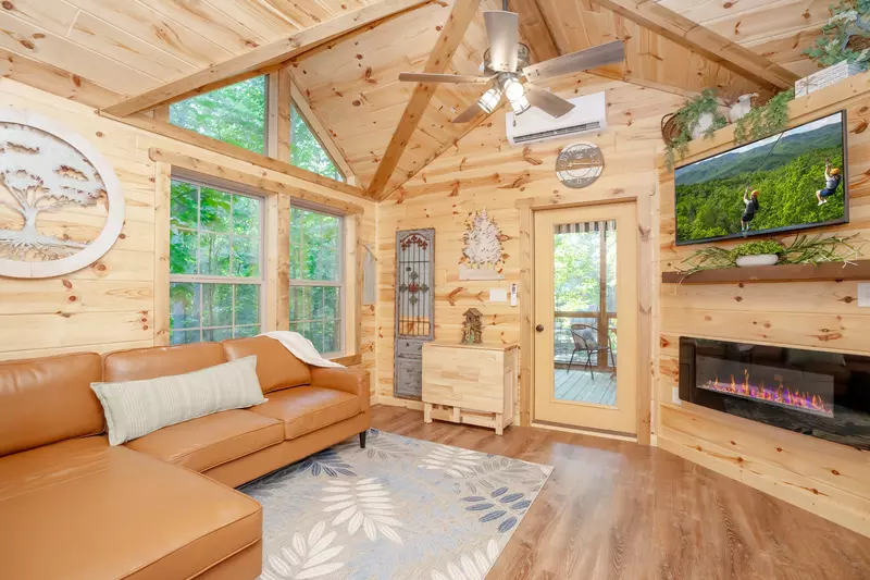 Birds Perch Hummingbird