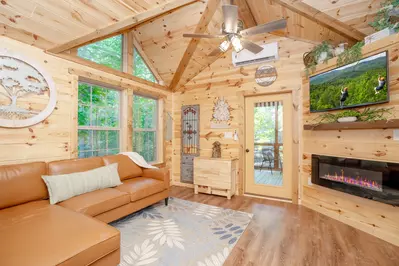 Birds Perch Hummingbird